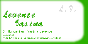 levente vasina business card